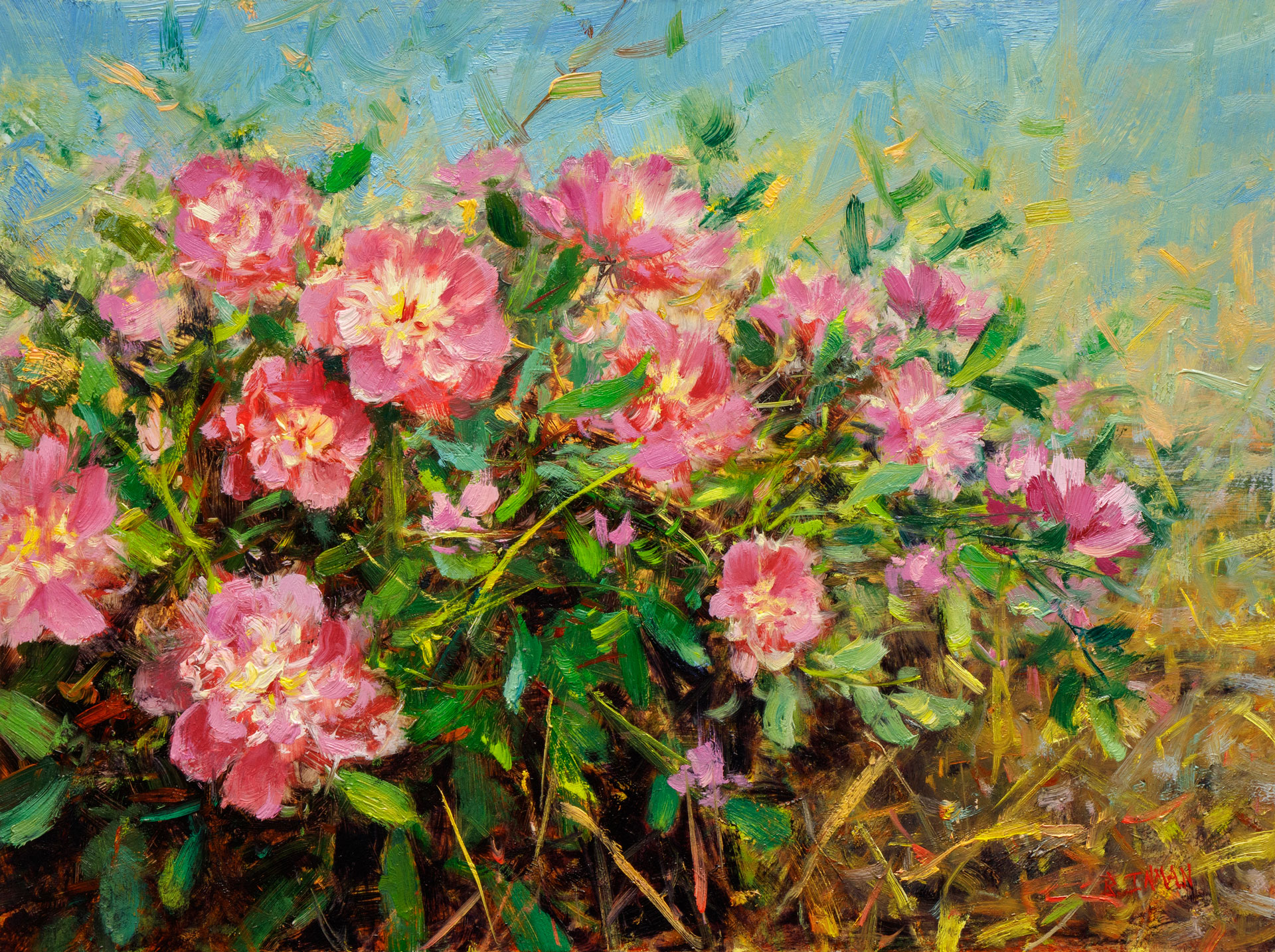 Spring Rush - Peonies