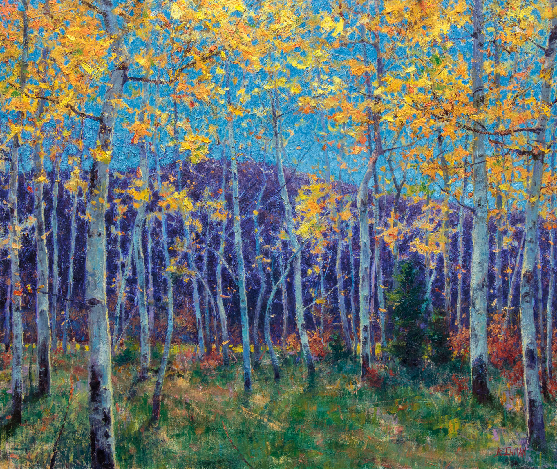 A Forest For Dreamers