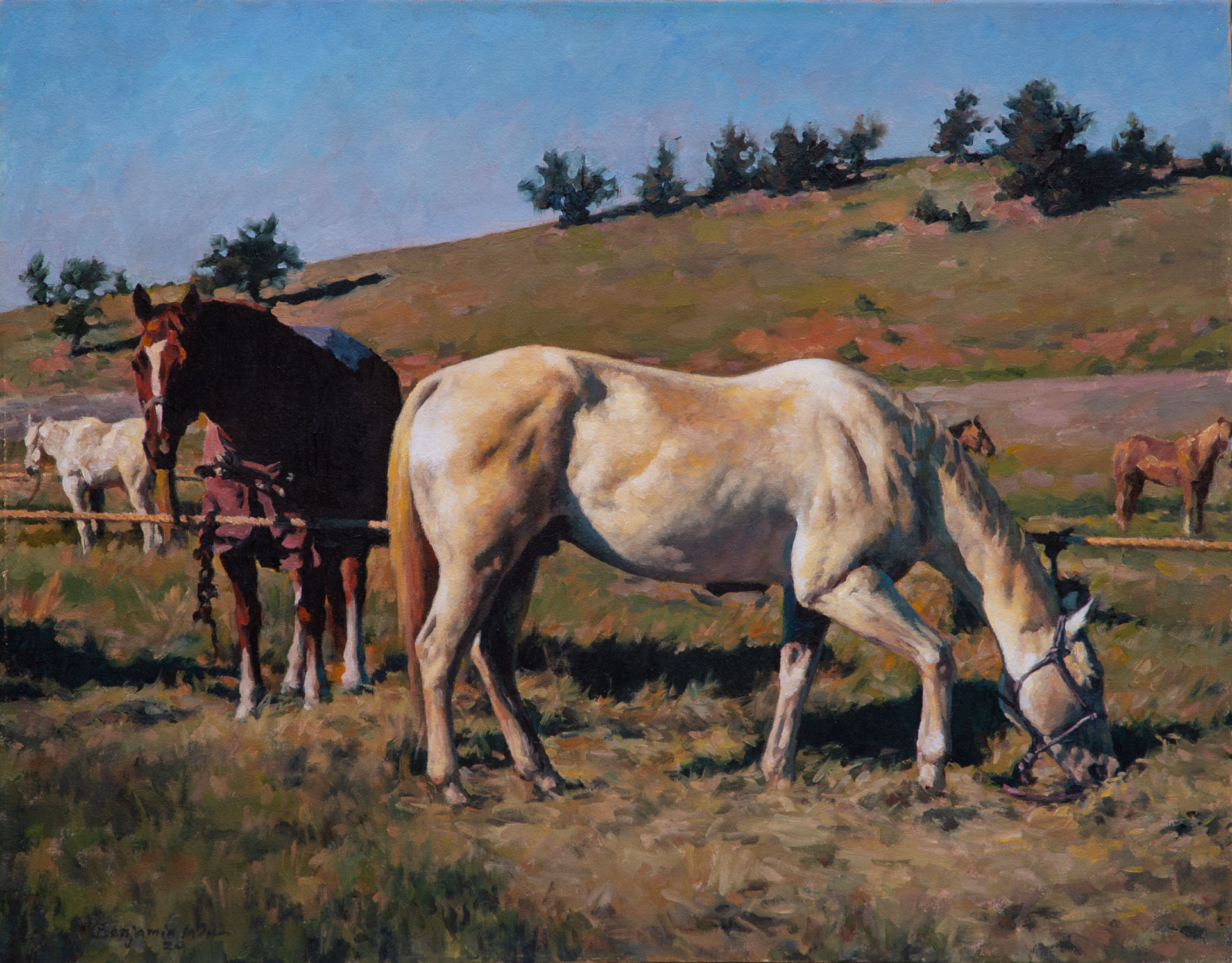 The Resting Horses