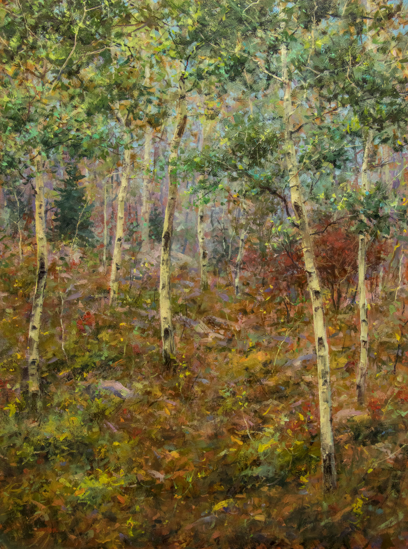 Mountain Retreat - Aspens